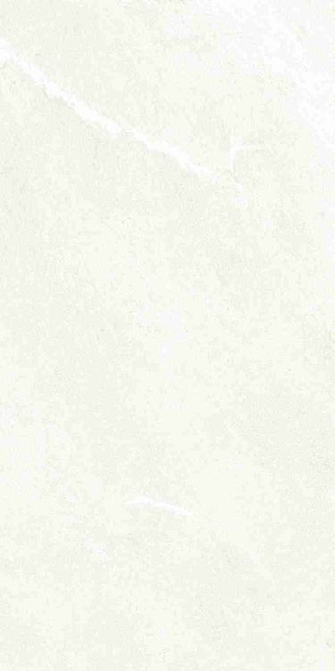 Dhara White Matte 24 x 48
